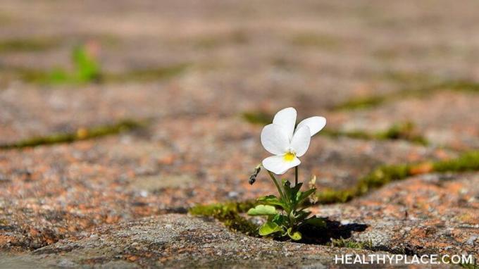 Personlig vækst kræver ofte, at du blomstrer, hvor du er plantet. Du har ikke total kontrol over din situation, men du kontrollerer dig. Læs dette.