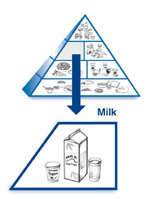 Mælkepyramide