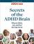 Gratis ekspertressource: Afdæk mysterierne om din ADHD-hjerne