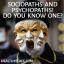 Sociopater og psykopater! Kender du en?