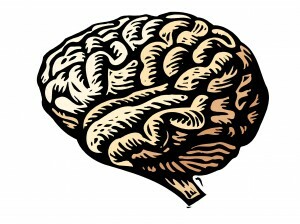 Trauma påvirker din hjerne, men helbredelse af PTSD er mere sandsynligt end nogensinde. Lær hvordan traumer påvirker hjernen og hvordan neuroplasticitet hjælper dig med at komme sig. Læs dette.