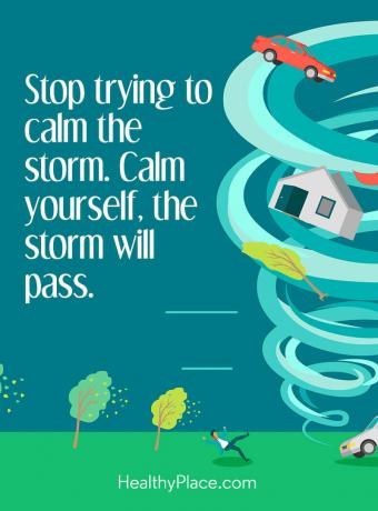 Citat for mental sygdom - Stop med at forsøge at berolige stormen. Ro dig selv, stormen vil passere.